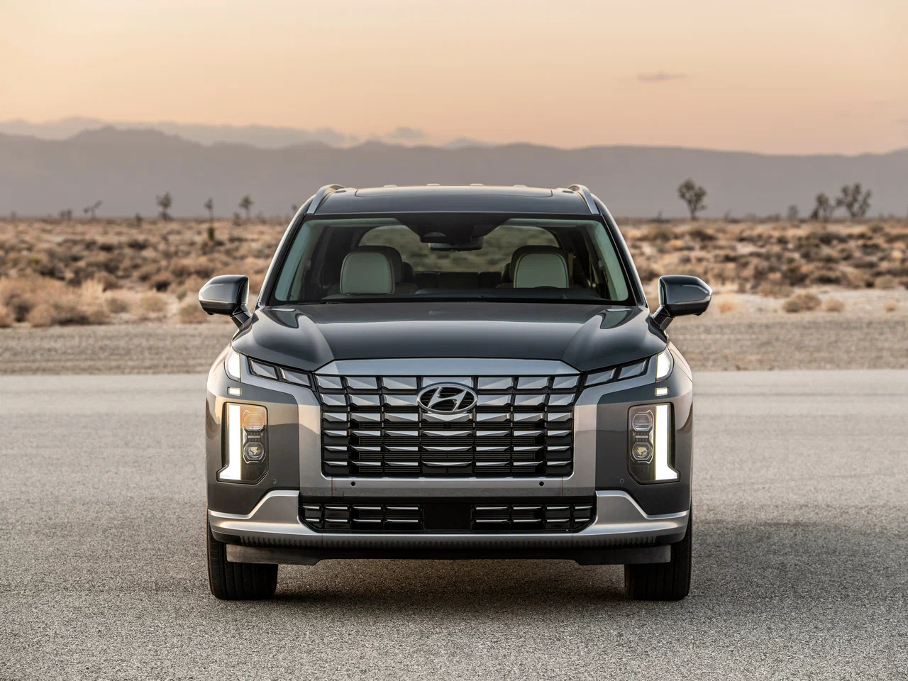 Hyundai Palisade фото 10 в Ельце Hyundai Palisade фото 10 в Ельце
