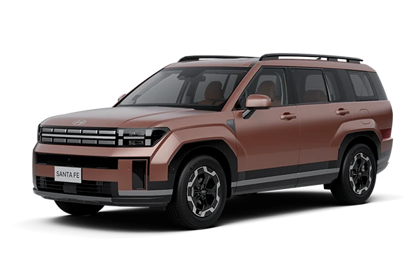 Hyundai Santa Fe фото 2 в Москве