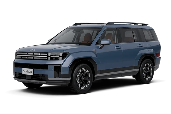 Hyundai Santa Fe фото 7 в Москве