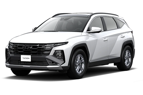 Hyundai Tucson Comfort - фото, характеристики и цена в Москве