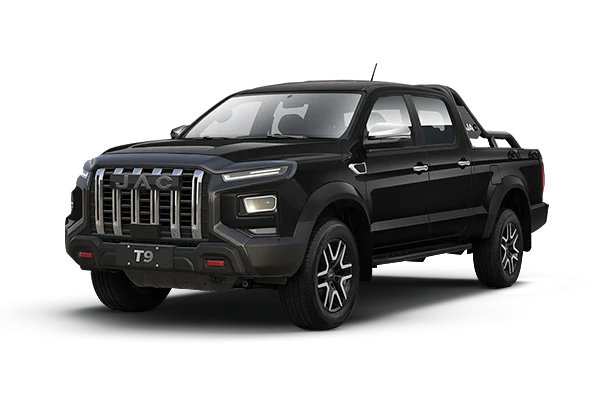 Jac T9 фото 7 в Москве