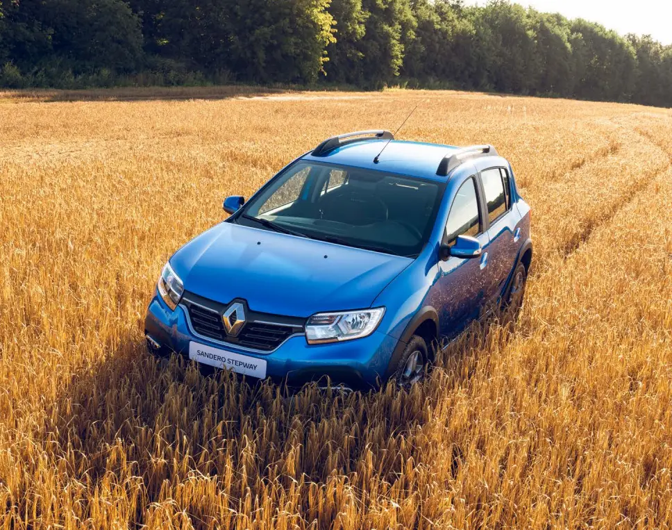 Renault Sandero Stepway фото 8 в Москве