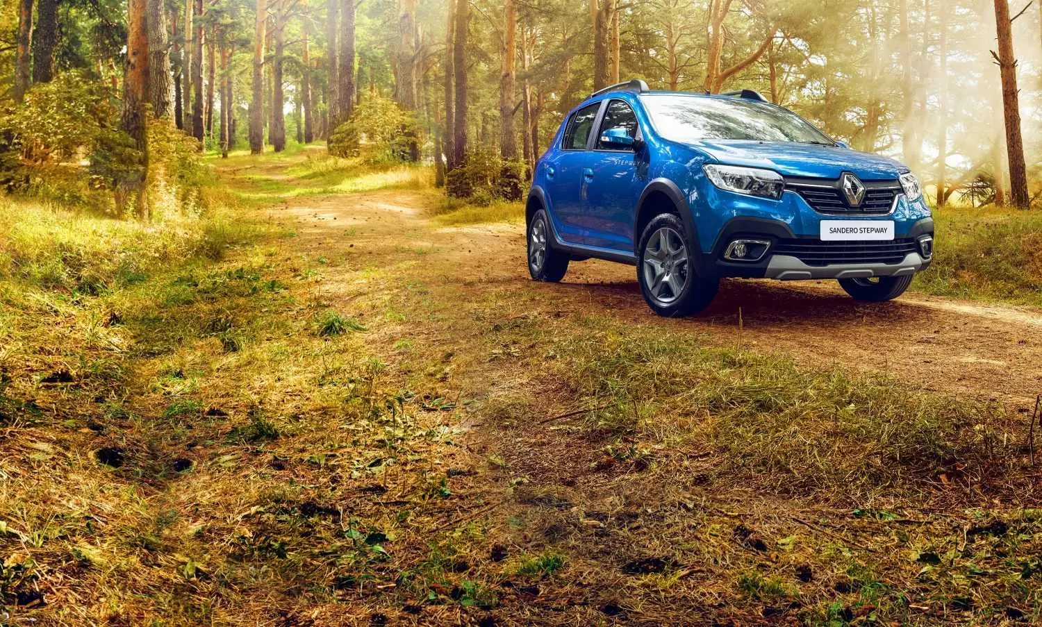 Renault Sandero Stepway фото 12 в Москве