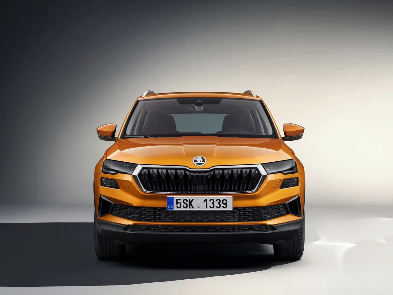 Skoda Karoq фото 10 в Москве