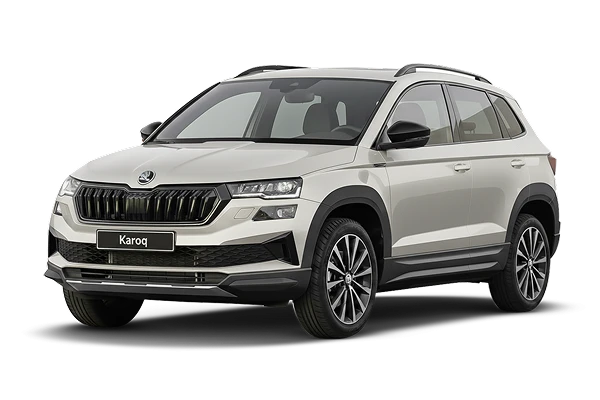 Skoda Karoq фото 4 в Москве