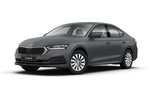 Skoda Octavia фото 4 в Москве
